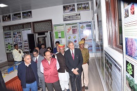 cazri-02-10122019