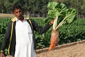 cazri-0223042020