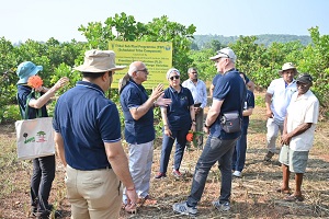 ccarigoa-01-13122022