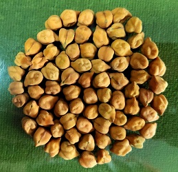chickpea-03-2022
