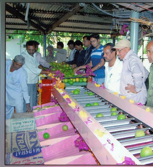 ciae_success_story_commercial_scale_fruit_grader_1