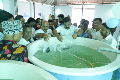 The Minister of Fisheries, Kerala Inaugurates the ICAR-CIBA Technology-Based Pearlspot fish Hatchery at Matsyafed Palaikari Fish Farm, Kottayam district, Kerala