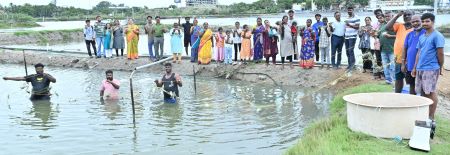 ICAR-CIBA, Chennai Demonstrates High-Density Blue Swimmer Crab Farming in Brackishwater Earthen Ponds