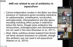 ciba-01-11122021.jpg
