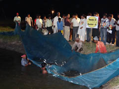 ciba-kakdwip-14-11-2012-2_0.jpg 