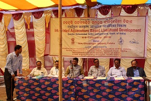 cifa-01-14022019.jpg