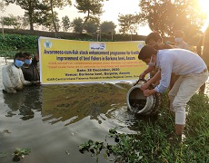 cifri-01-07012021.jpg