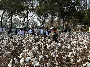 DG (ICAR) Visits ICAR–CICR, Nagpur; Reviews Research Activities and Interacts with Institute Staff
