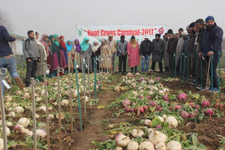 cith-01-28122017.jpg
