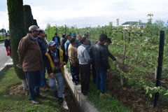 cith-02-04052018.jpg