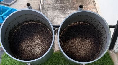 ICAR-CMFRI, Kochi supplies 5 lakh green mussel seeds to coastal fishers in Maharashtra
