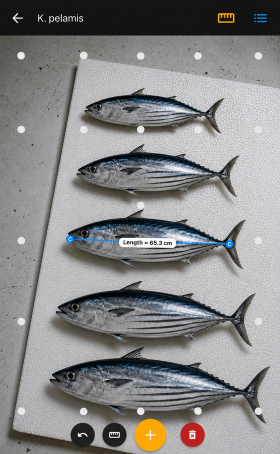 ICAR-CMFRI, Kochi Develops Smartphone App to Measure Fish Length and Width Without Physical Handling