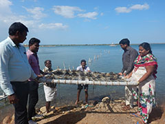 cmfri-0209072018.jpg