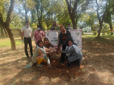 Plantation Drive Organised at ICAR-CRIDA under Swachhta Pakhwada