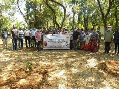 Plantation Drive Organised at ICAR-CRIDA under Swachhta Pakhwada