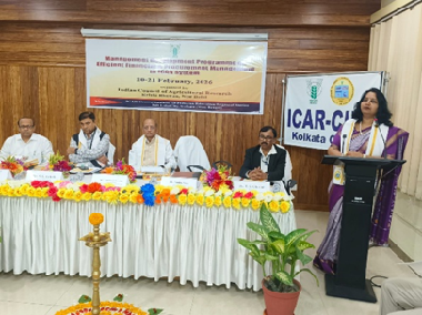MDP on Efficient Financial & Procurement Management in ICAR System Organised at ICAR–CIFE, Kolkata Centre