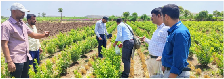 ICAR-DFR, Pune Launches Awareness Drive on Balanced Fertiliser Use in Pune District