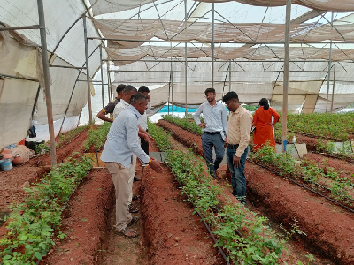 ICAR-DFR, Pune Organises Awareness Program on Biointensive Protected Cultivation of Roses with On-site Demonstration of Good and Sustainable Agricultural Practices