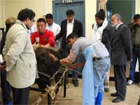 dg-visit-nrc-yak-farm-28-03-2011-3