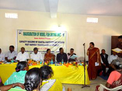 drwa2-14-12-2012_0.jpg 