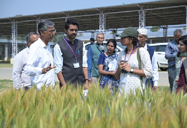 Two batches of IAS Officer Trainees Visit ICAR-IARI, New Delhi  12 March 2026, New Delhi  Two batches of IAS Officer Trainees from the Lal Bahadur Shastri National Academy of Administration (LBSNAA), Mussoorie, visited the ICAR-Indian Agricultural Research Institute, New Delhi as part of their Winter Study Tour, which aims to provide exposure to key institutions working in the agriculture and rural development sectors.  The first batch visited the institute on 9 March 2026, while the second batch visited on 12 March 2026.  The visit began with a welcome address by Dr. R. N. Padaria, Joint Director (Extension), ICAR-IARI, who introduced the trainees to the institute, often referred to as the “Seat of the Green Revolution” and a leading centre for sustainable food security research. He highlighted the institute’s historic legacy and emphasised that ICAR-IARI has consistently played a crucial role in ensuring India’s food security while supporting the farming community through continuous research, innovation, and extension activities.  Dr. Ch. Srinivasa Rao, Director, ICAR-IARI, delivered a detailed presentation on the institute’s achievements and ongoing strategic initiatives aimed at building a sustainable agri-food system. He explained how the institute’s various divisions and departments work collaboratively to develop technologies that benefit farmers, support agricultural policies, and contribute to poverty alleviation.  The Dr Rao further elaborated on the institute’s research outcomes that are directly benefiting the farming community through continuous research and improved crop varieties, advanced farming technologies, and effective extension services. He also highlighted major outreach initiatives such as the Pusa Krishi Vigyan Mela, which attracts more than one lakh visitors each year, including farmers, students, and stakeholders from across the country.  As part of the exposure visit, the IAS trainees toured several important facilities and field units of the institute. These included the Integrated Farming System (IFS) Model, Centre for Protected Cultivation Technology, Mustard and Wheat experimental plots, Robotics Laboratory, Climate Change Facility, Pusa Amrit Sarovar, and the Nanaji Deshmukh Plant Phenomics Centre, where they observed advanced research infrastructure and field demonstrations of agricultural technologies.  The visit provided the trainees with first-hand exposure to innovative agricultural research and sustainable farming practices.  The programme was also attended by several dignitaries, including Dr. C. Viswanathan, Joint Director (Research); Dr. Anupama Singh, Dean & Joint Director (Education); Dr. P. S. Brahmanand, Project Director, Water Technology Centre (WTC); and Shri Suresh Kumar, Senior Registrar & Joint Director (Administration), along with scientists.  The programme concluded with an interactive question-and-answer session, during which the trainees engaged with scientists and discussed various aspects of agricultural development, research dissemination, and farmer outreach.  The visit offered valuable insights into the role of national agricultural research institutions in strengthening India’s agricultural sector and improving the livelihoods of farmers.  (Source: ICAR-Indian Agricultural Research Institute, New Delhi)