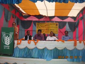 icarreh-026032014.jpg