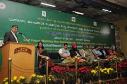 iihr-01-10122013.jpg