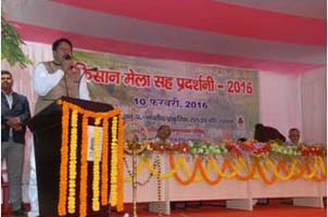 iinrg-02-15022016.jpg