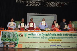 iisr-18112019