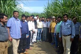 iisrkanpur-02