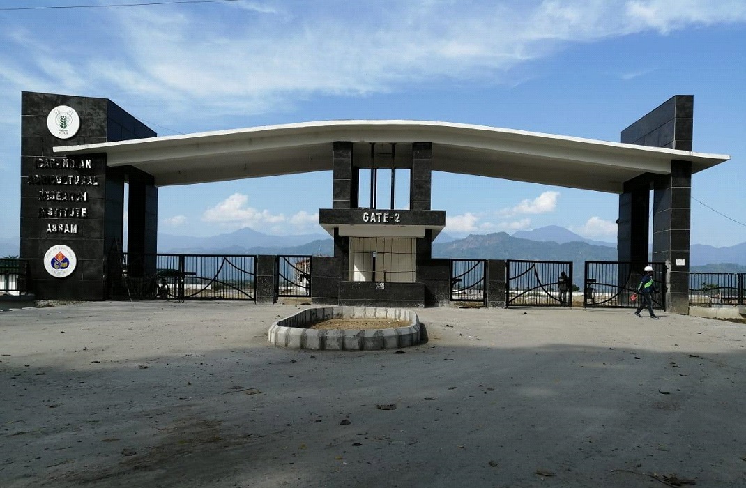 institutes-3