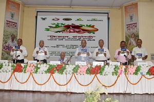 kharif-onion-01_1