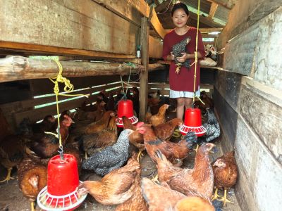 Enhancing Livelihoods and Nutritional Security through Backyard Poultry in Zunheboto, Nagaland