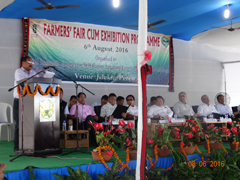 kvk-02-10082016.jpg
