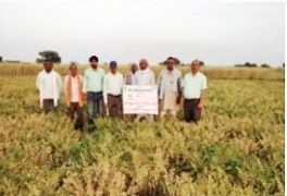 kvk-hamirpur-01-22092020