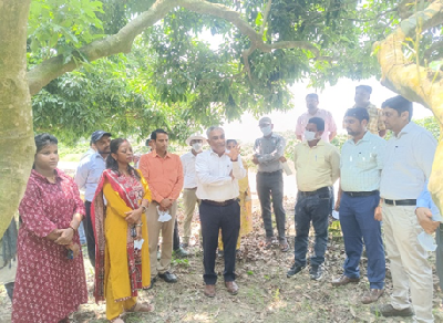 ICAR-NRC on Litchi, Muzaffarpur Intensifies Capacity Building and Field Awareness for Management of Litchi Stink Bug