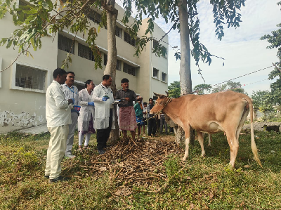 ICAR–MGIFRI, Motihari Organises Animal Health Camp under SCSP, Benefits 102 Livestock Farmers in East Champaran
