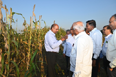 Workshop Highlights Bioenergy Potential of Sorghum and Pearl Millet at ICAR–IIMR, Hyderabad