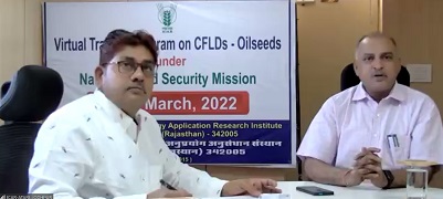 news01_9.jpg