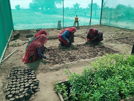 news1_65
