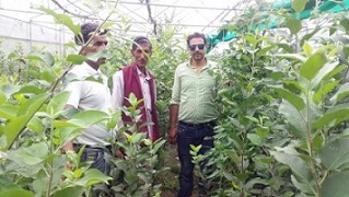 news1_83