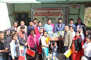 nofri-01-02019.jpg