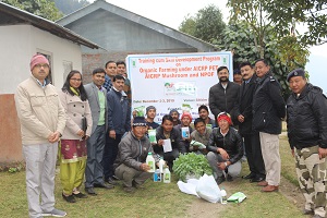 nofri-01-0512019