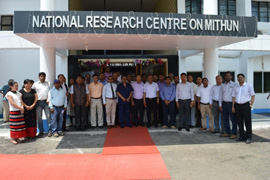 nrcmithun-02-03062016.jpg