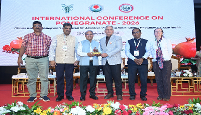 International Conference on Pomegranate–2026, Concludes at ICAR–NRCP, Solapur