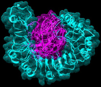nrcpb-002-19082016.jpg