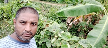 parwal-11-19102020