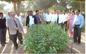 pic-03-21-11-2012
