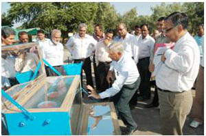 pic-04-21-11-2012
