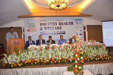 poultry1016-1.jpg